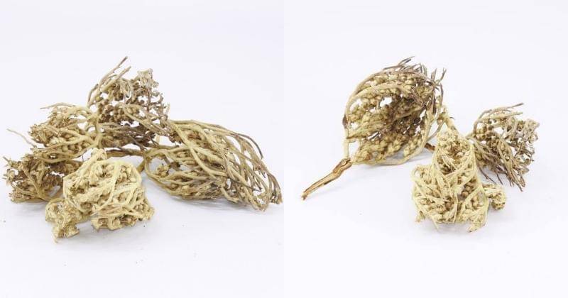 Shopee.com/agtavanystr/Medina Hajj